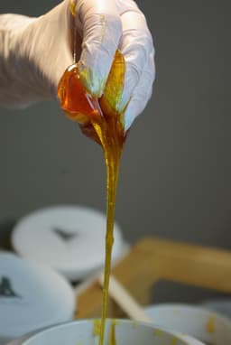 Eco-Friendly Disposal Practices's image